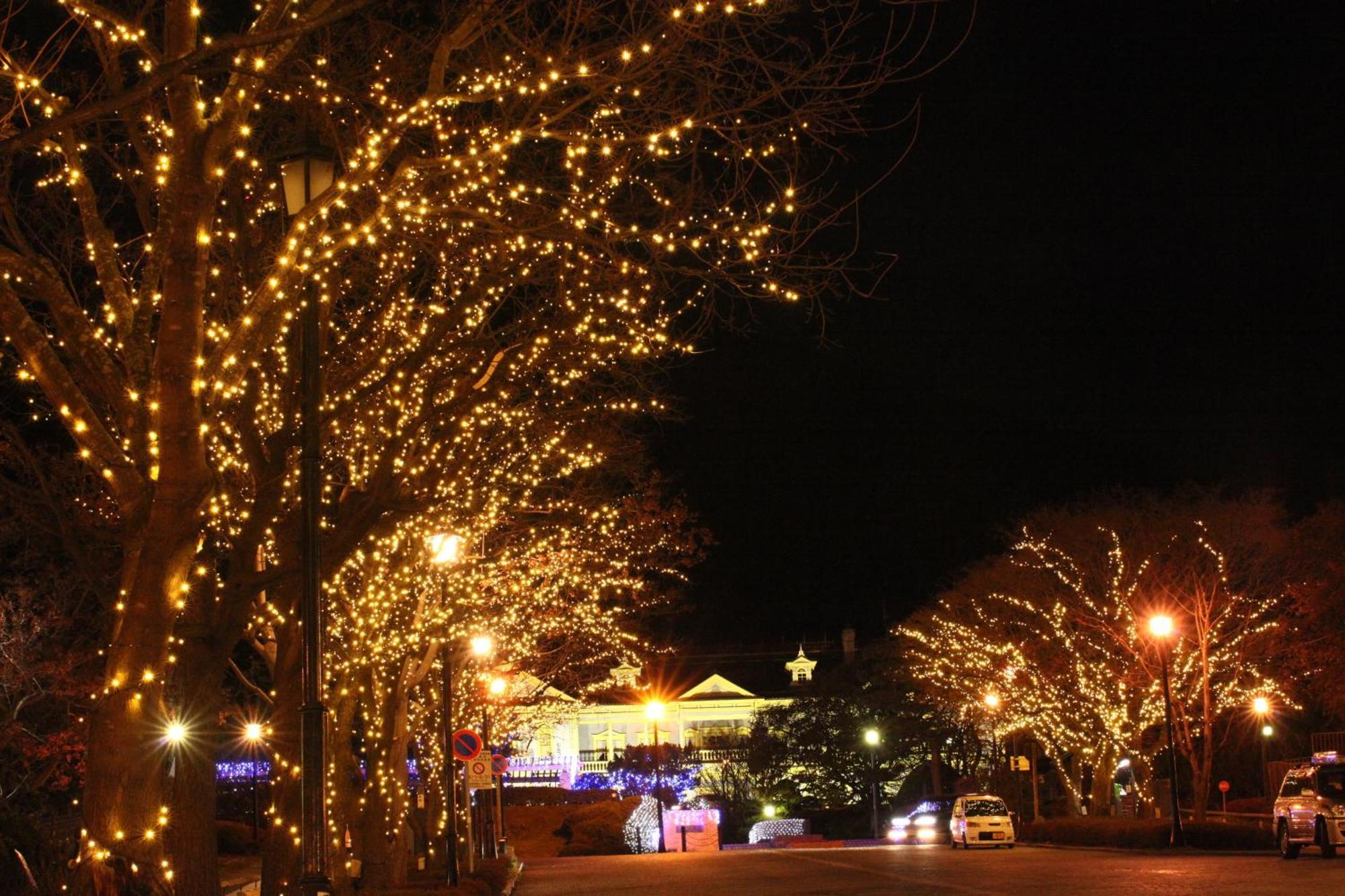 Hakodate Kokusai Hotel Buitenkant foto